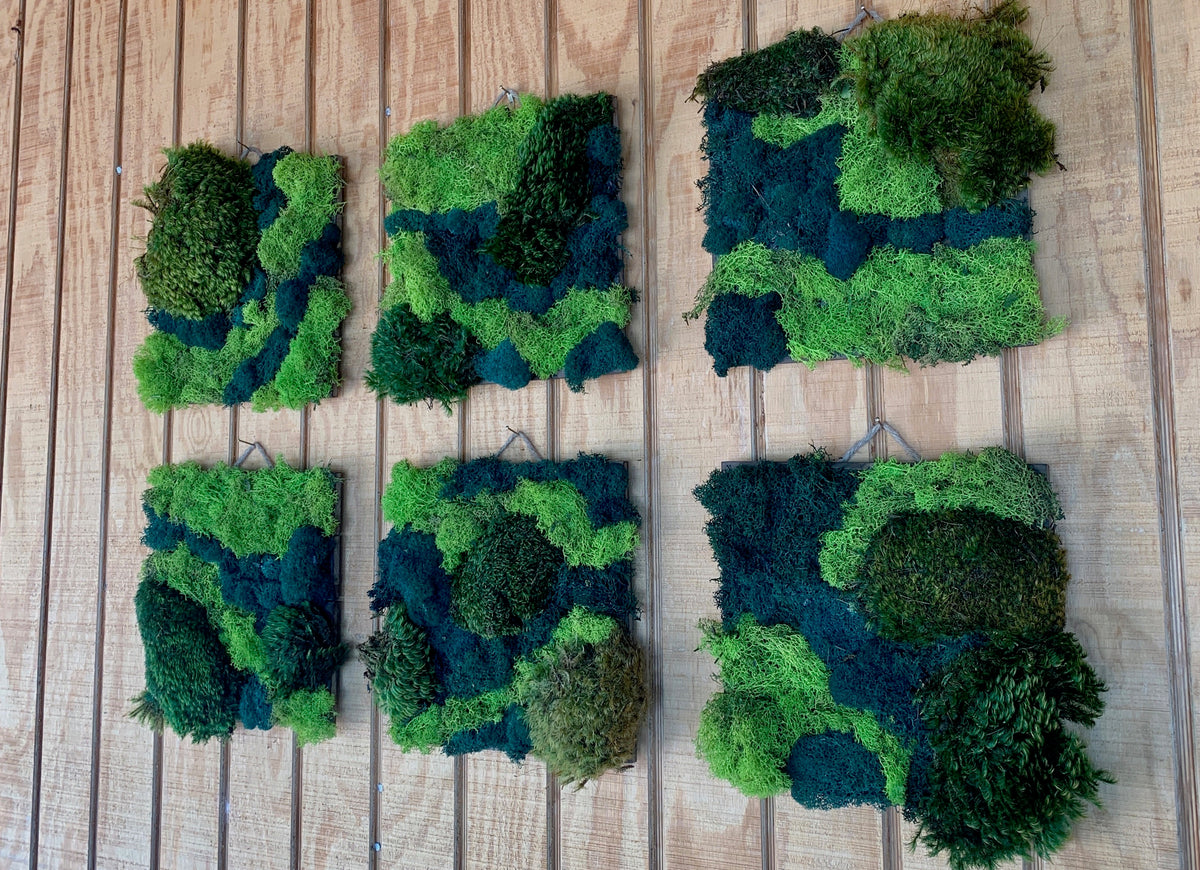 Elevate Your Walls | Create a Luscious Vertical Paradise with Outside In