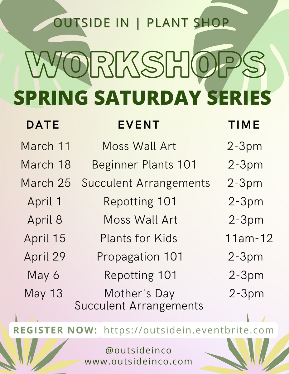 Sip & Create Moss Art Workshop  January 27 @ 2:30pm – BWH Plant Co