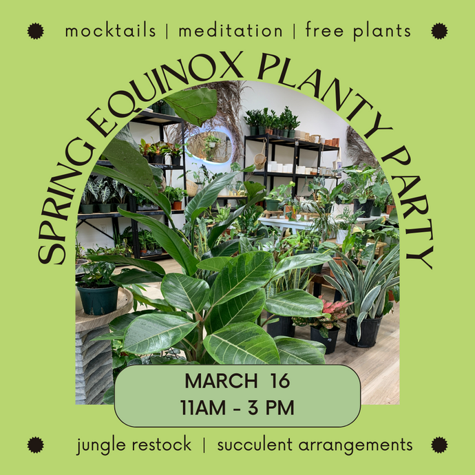 Spring Equinox Planty Party | March 16