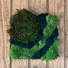 Load image into Gallery viewer, Moss Wall Art Hanging