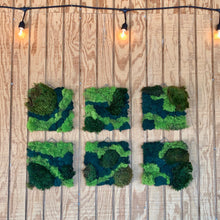 Load image into Gallery viewer, Moss Wall Art | Makers Design Choice