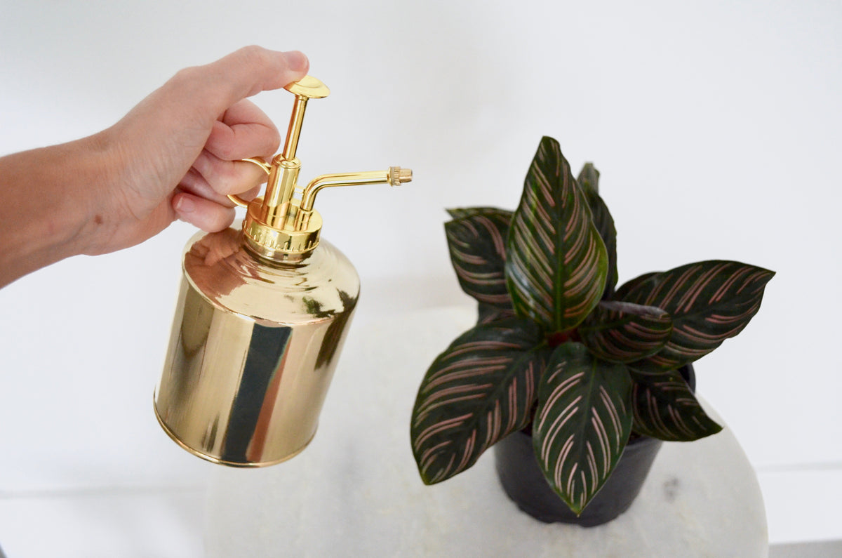 Brass Plant Mister – Kikkerland Design Inc