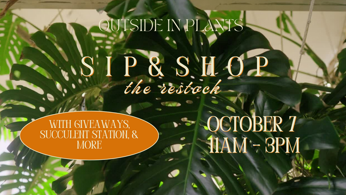 Sip & Shop Restock | With Giveaways - Oct 7