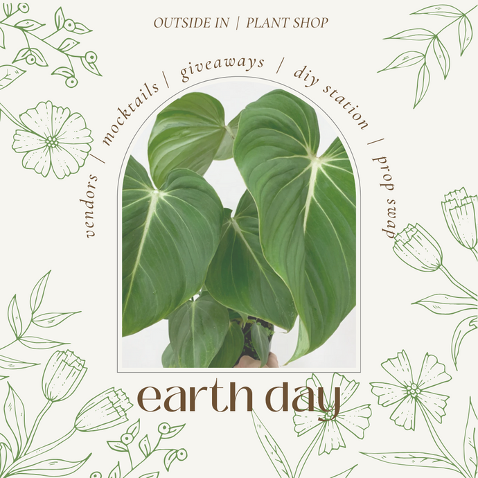 Earth Day at the Plant Shop