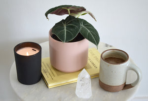 alocasia black velvet plant in pink pot next to crystal and coffee and candle
