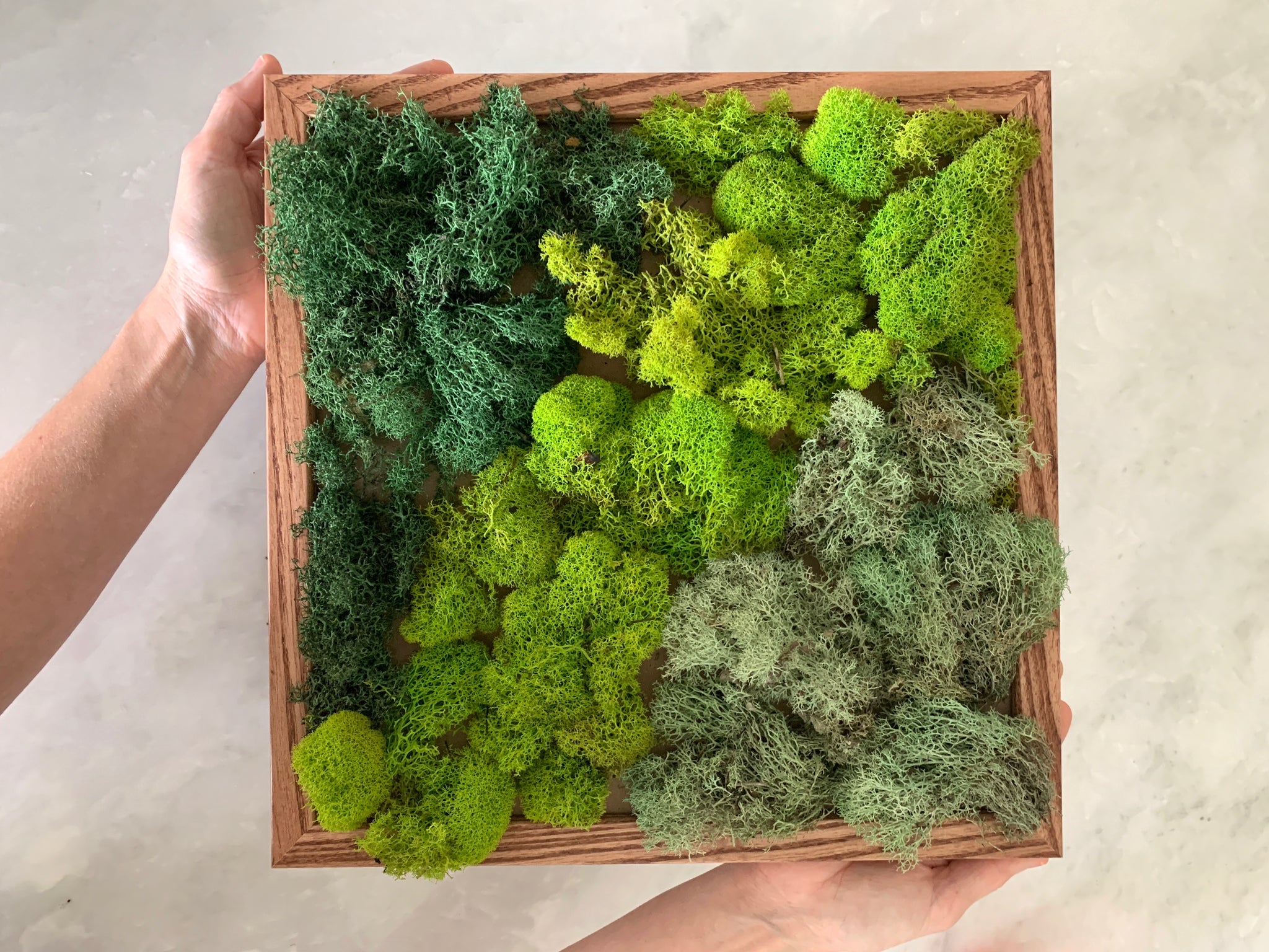 DIY Moss Art Kit – Mora Approved
