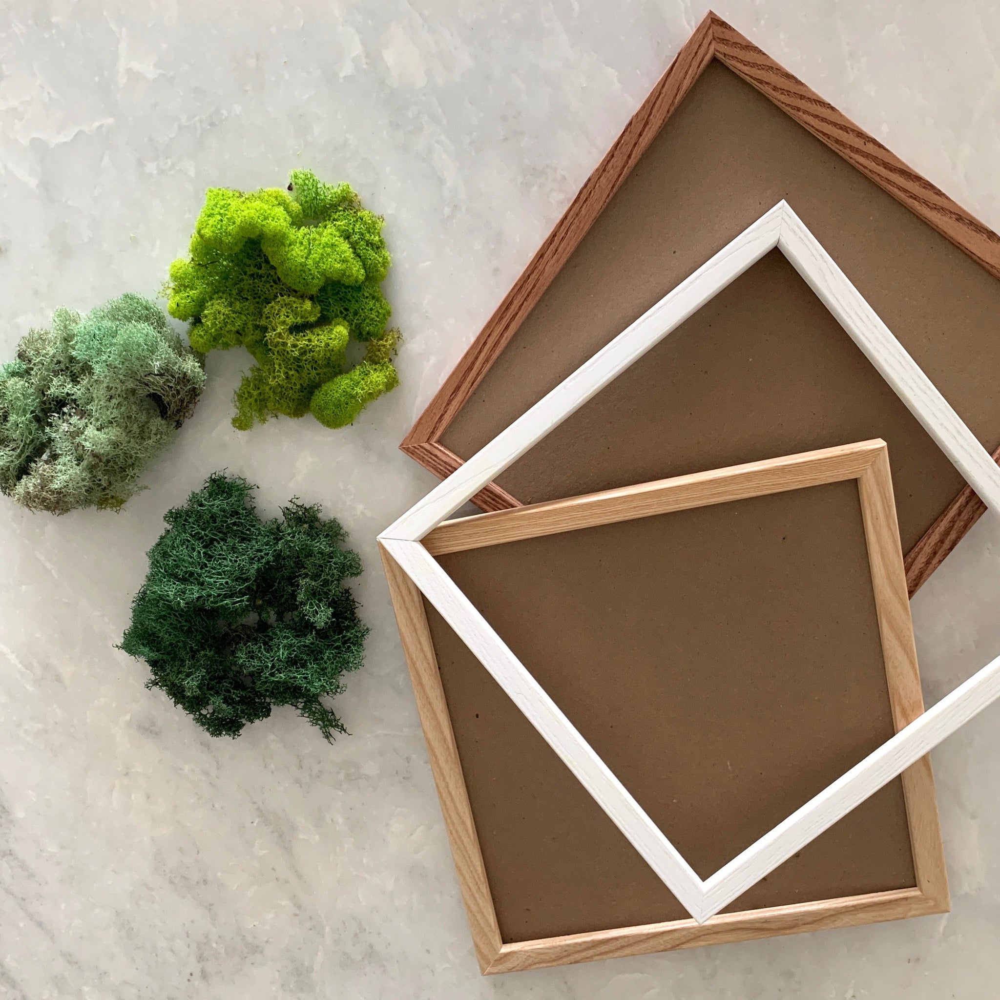 DIY Moss Wall Art Kit  13x13 Preserved Moss Frame – Outside In