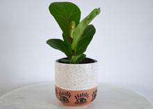 Load image into Gallery viewer, speckled white and terracotta 4 inch planter