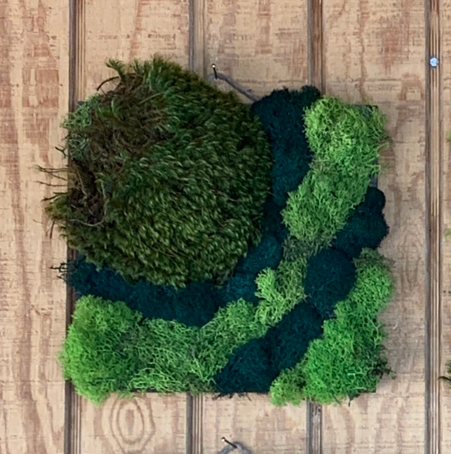 Sustainable Living and Eco-Conscious Practices: Embracing Moss Art for a  Greener Home