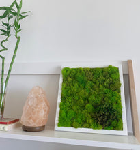 Load image into Gallery viewer, Moss Wall | Preserved Green Decor - Outside In