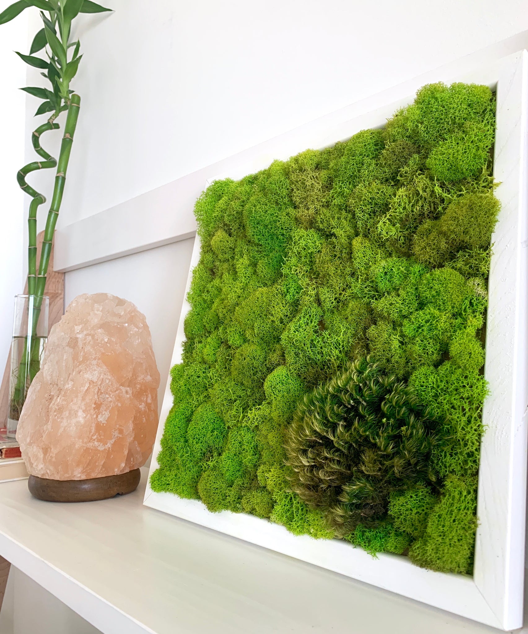 Preserved Moss Wall