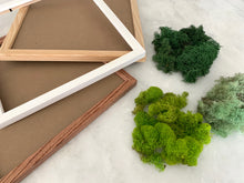Load image into Gallery viewer, DIY Moss Wall Art Kit - Outside In