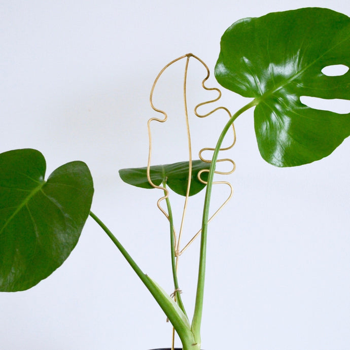 wire leaf plant stake