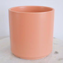 Load image into Gallery viewer, Peach Cylinder Planter