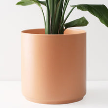 Load image into Gallery viewer, Peach Cylinder Pot