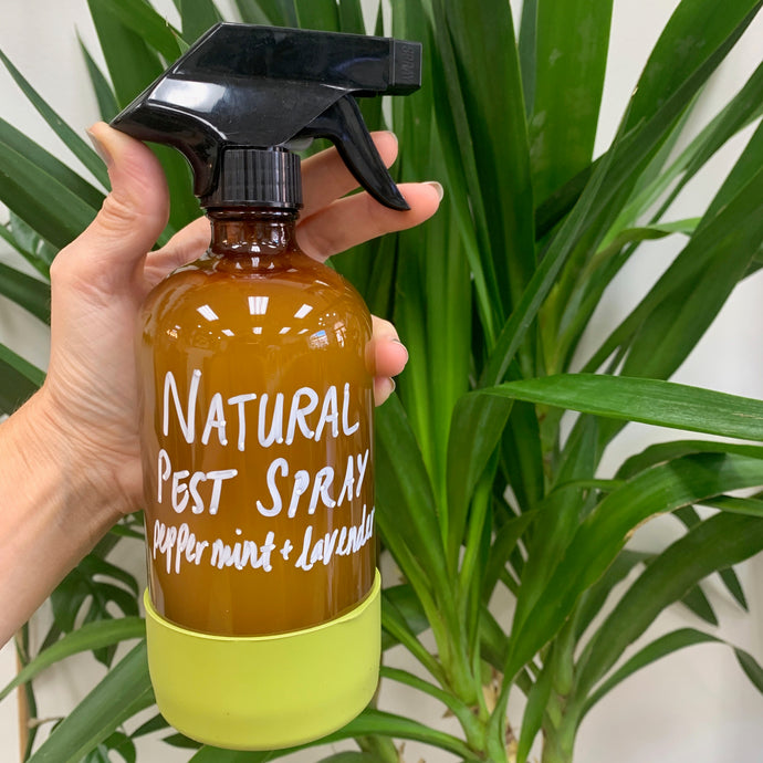 Houseplant Pest Spray - 16 oz Glass Bottle
