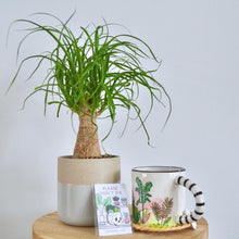Load image into Gallery viewer, Plant Lover Gift Set