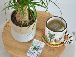 indoor plant bundle with pot plant mug pin