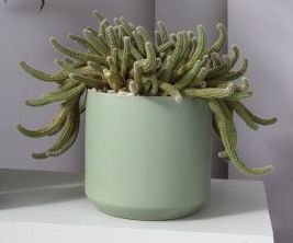 sage green plant pots Sage Pot – Outside In