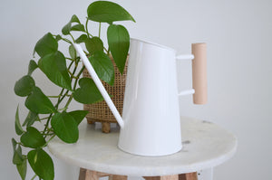 white watering can next to indoor plant