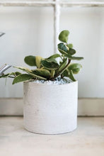 Load image into Gallery viewer, white wavy planter