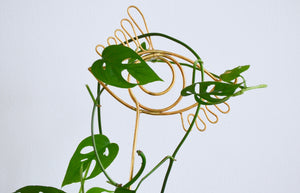Wired Eye Plant Stake