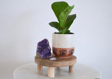 Load image into Gallery viewer, wood household pedestal with plant and crystal