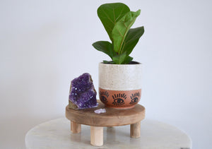 wood household pedestal with plant and crystal