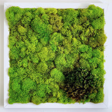 Load image into Gallery viewer, Moss Wall | Preserved Green Decor - Outside In