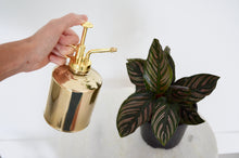Load image into Gallery viewer, gold plant mister and pinstripe plant