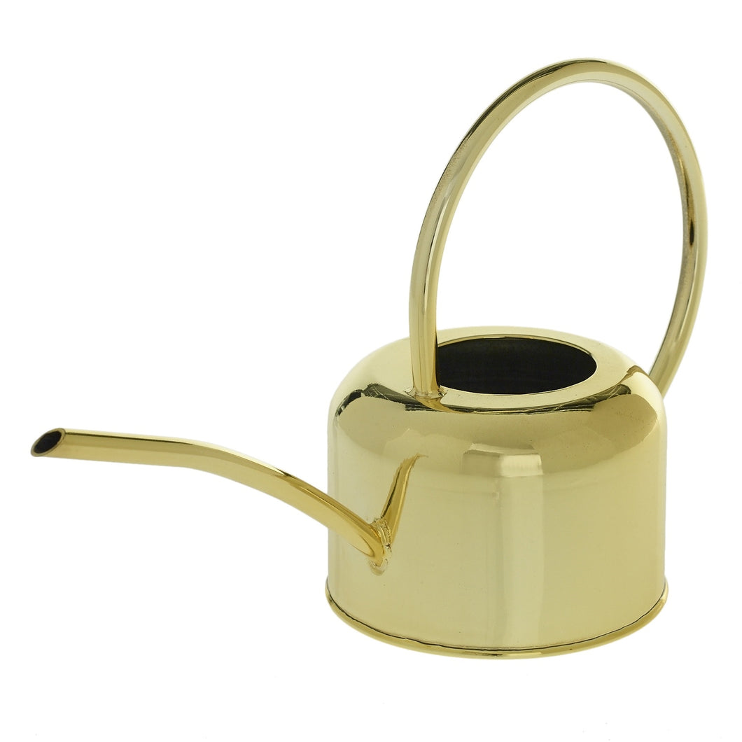 gold smooth shiny watering can