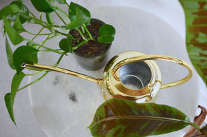 gold watering can among houseplants