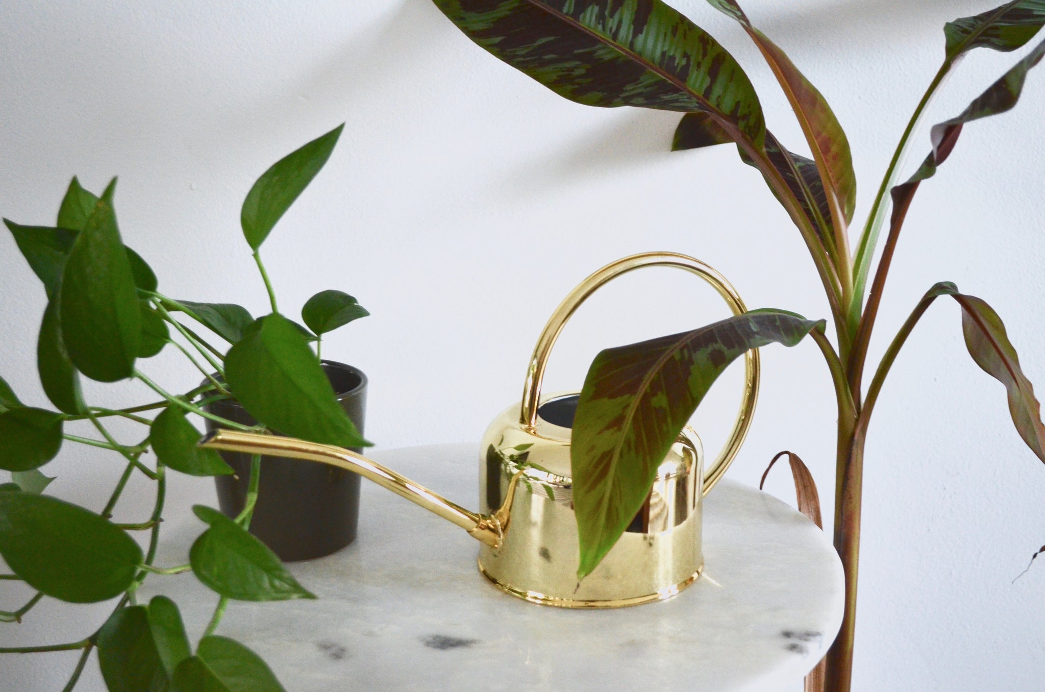 mini watering can for indoor plants Henri Watering Can