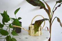 Load image into Gallery viewer, gold indoor watering can with arched handle