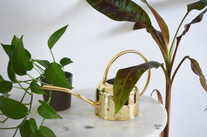 gold indoor watering can with arched handle