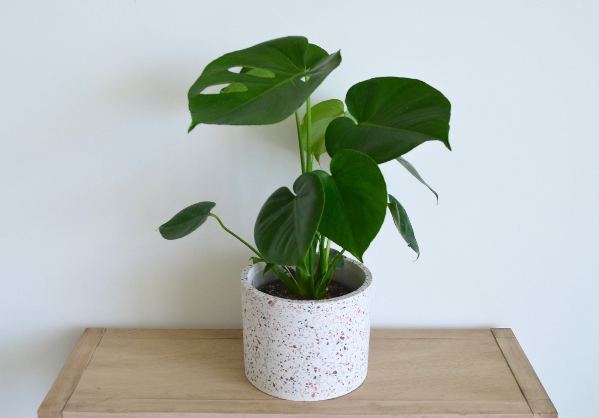 indoor terrazzo planter Terrazzo Pot – Outside In