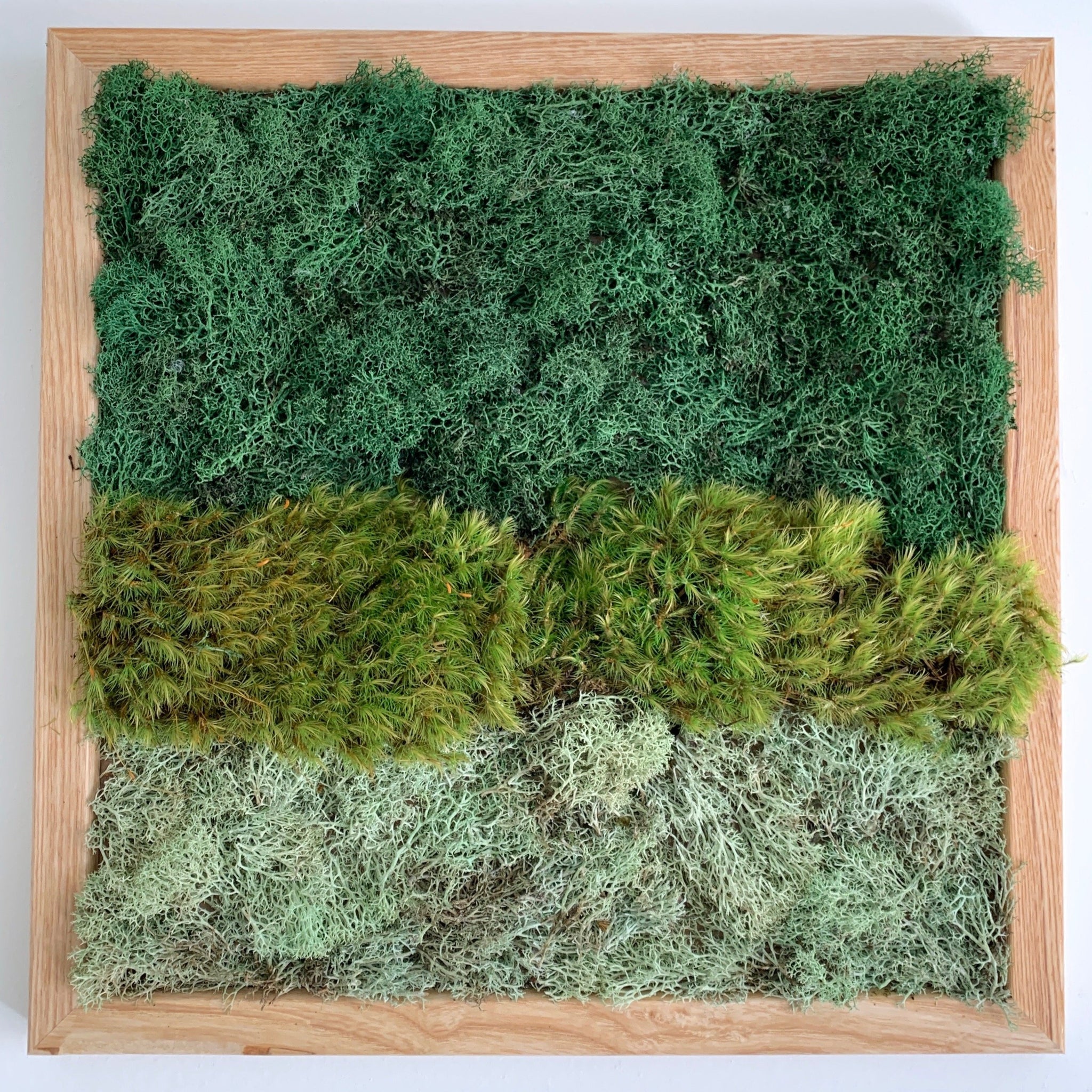 Moss Green, Moss Texture, Textured, Woodland Decor, Nature Art Print, Moss  Decor, Nature home, Outdoor Rug by Wuhnder