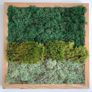 Ombre Moss Wall | Multicolor Preserved Greenery - Outside In