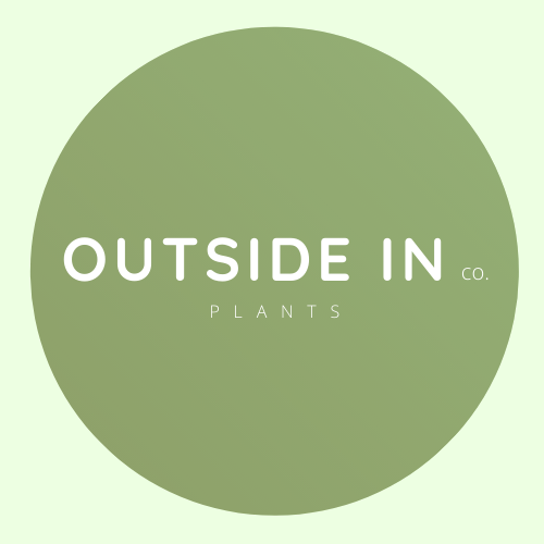 Gift Card - Outside In