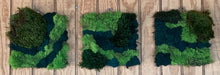 Load image into Gallery viewer, Three Moss Wall Art Pieces