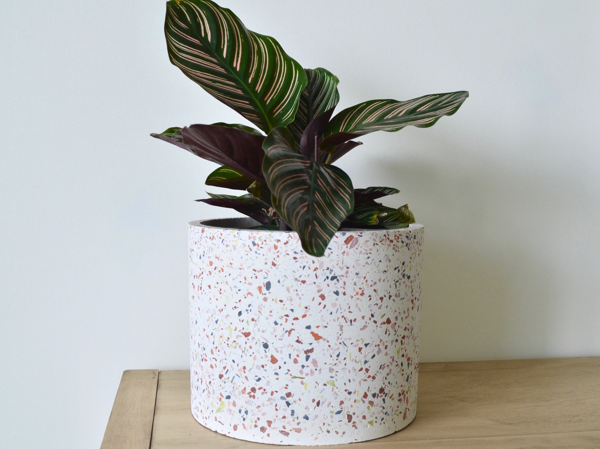 terrazzo planter pot Terrazzo Pot – Outside In